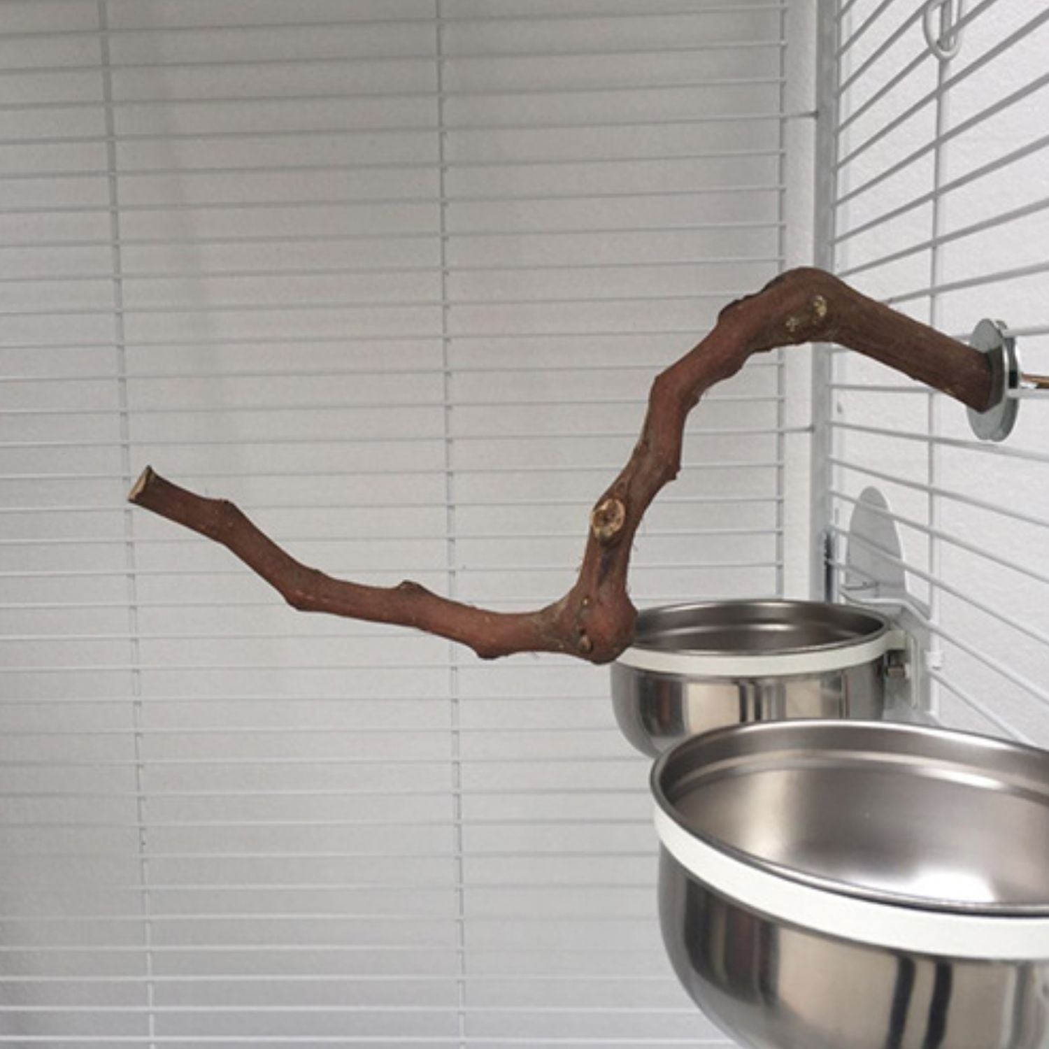 Natuurlijke Vogelstand tak boven voerbakjes